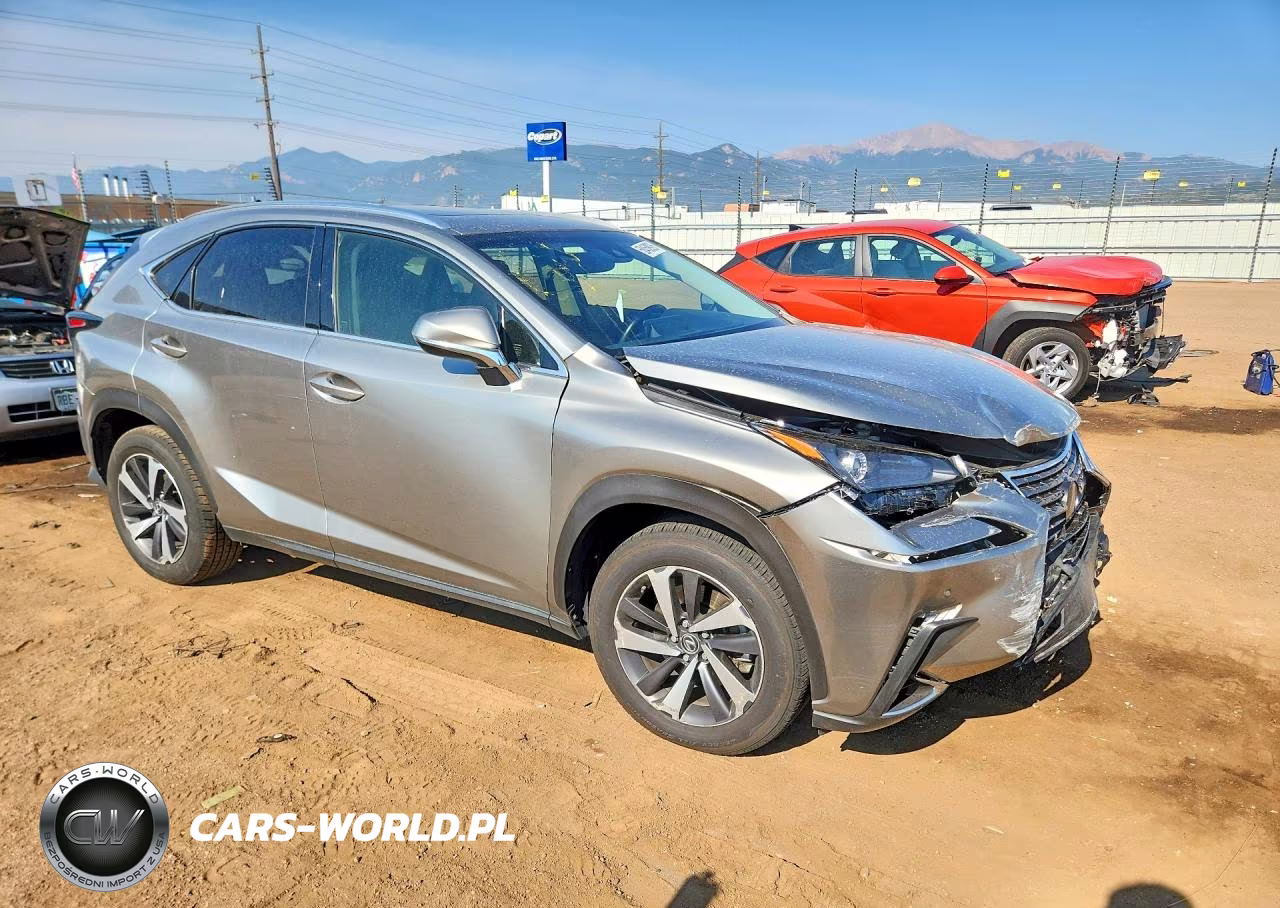 2019 Lexus Nx 300 Base VIN:JTJBARBZ9K2179388 - 4