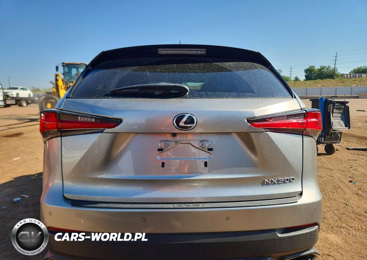 2019 Lexus Nx 300 Base VIN:JTJBARBZ9K2179388 - 6