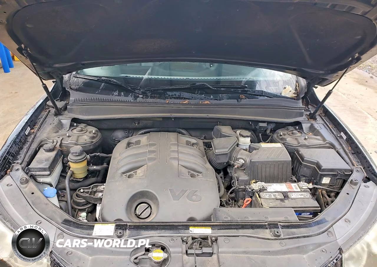 2009 Hyundai Santa Fe Limited VIN:5NMSH13E89H257466 - 11