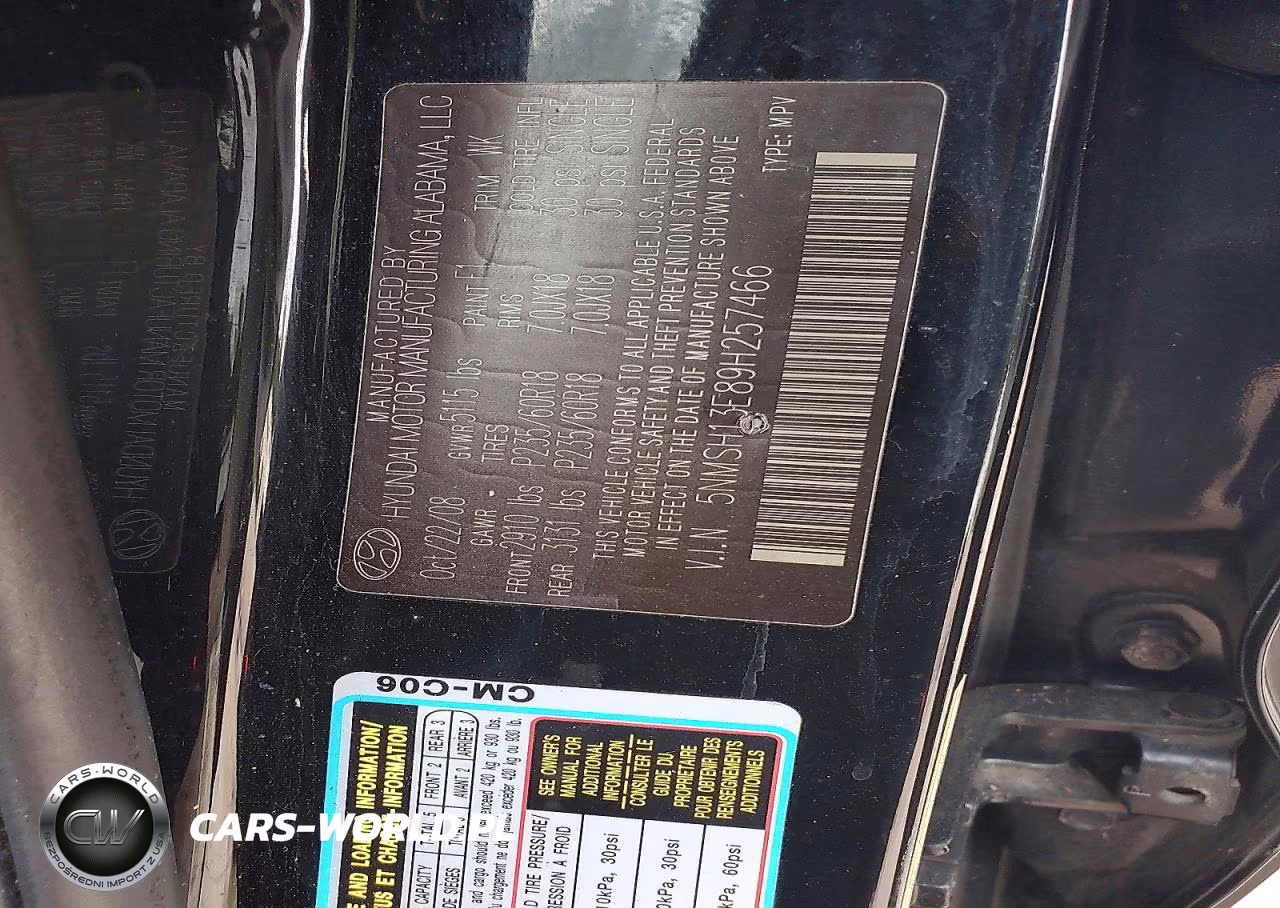2009 Hyundai Santa Fe Limited VIN:5NMSH13E89H257466 - 12