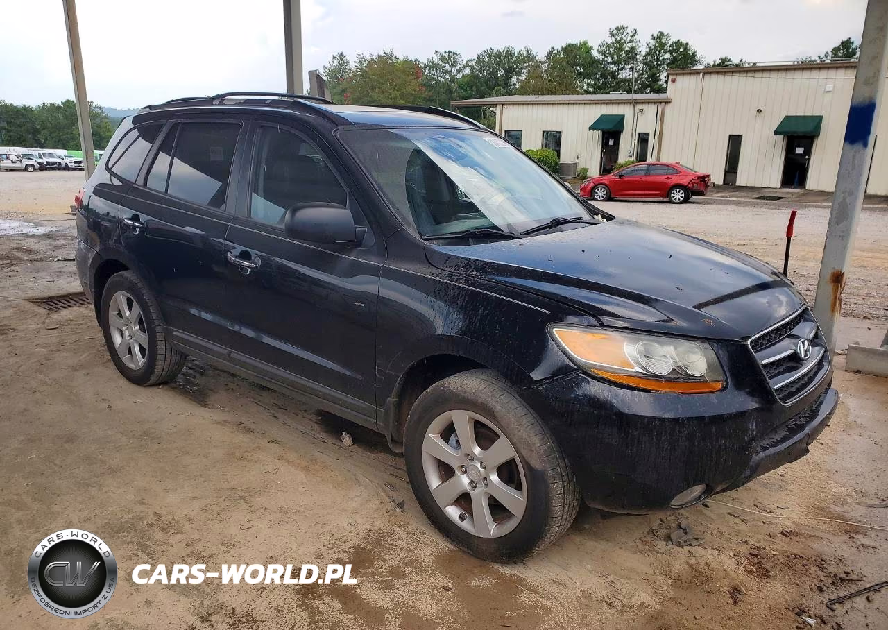 2009 Hyundai Santa Fe Limited VIN:5NMSH13E89H257466 - 4