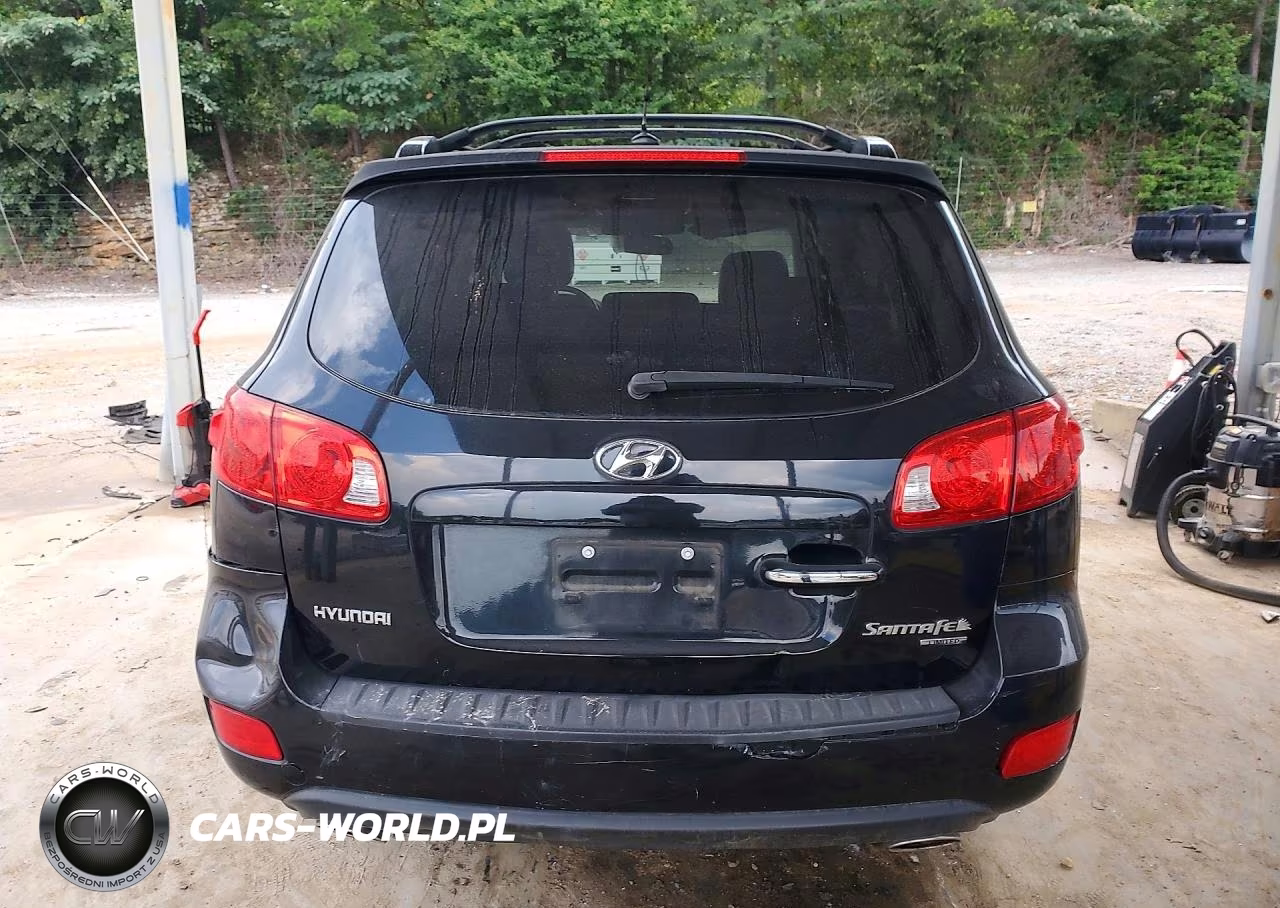 2009 Hyundai Santa Fe Limited VIN:5NMSH13E89H257466 - 6