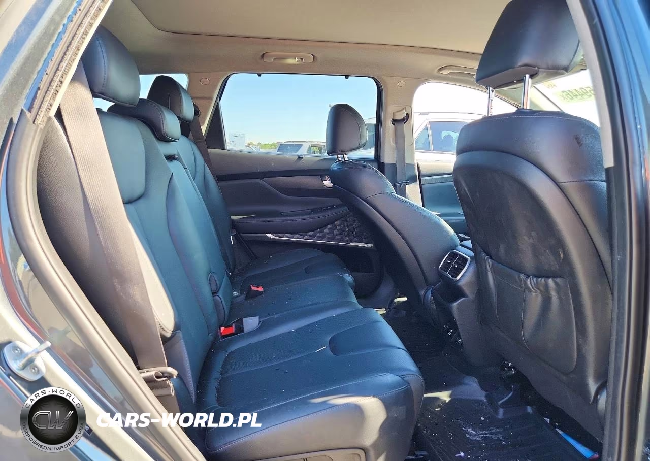 2019 Hyundai Santa Fe Ultimate 2.4L VIN:5NMS5CAD9KH092340 - 11
