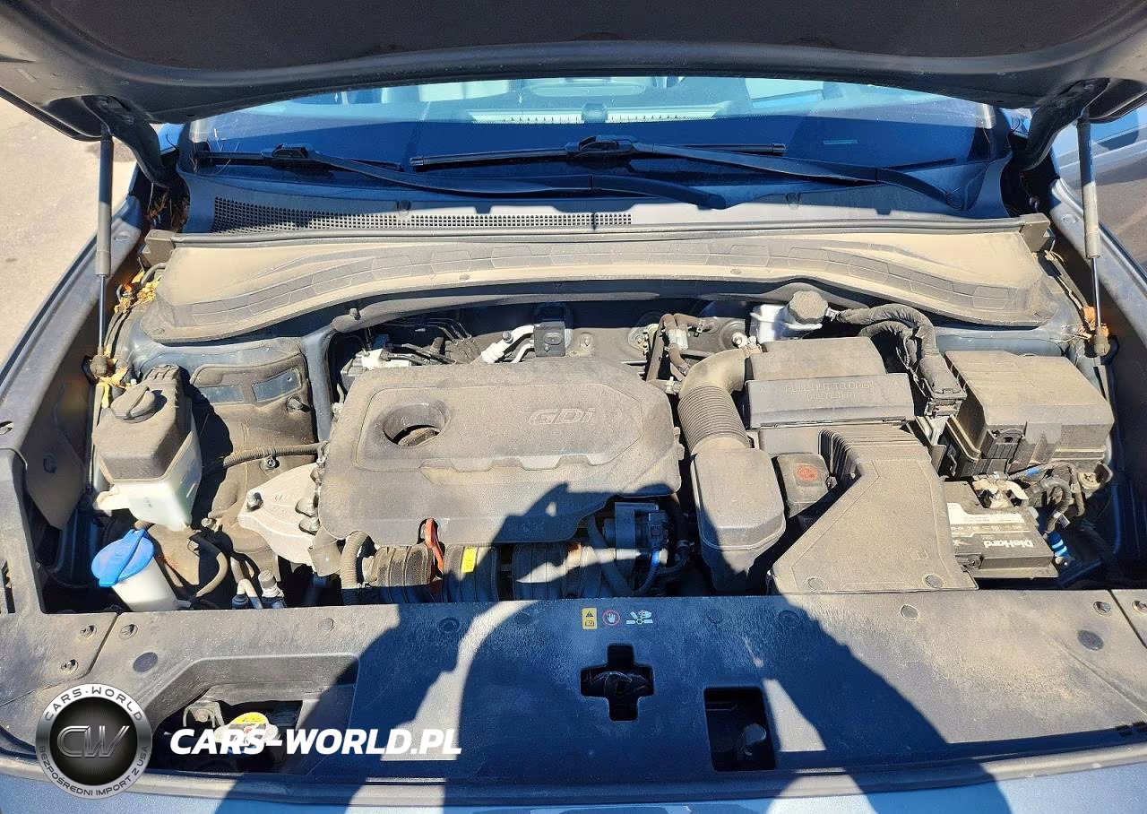 2019 Hyundai Santa Fe Ultimate 2.4L VIN:5NMS5CAD9KH092340 - 12
