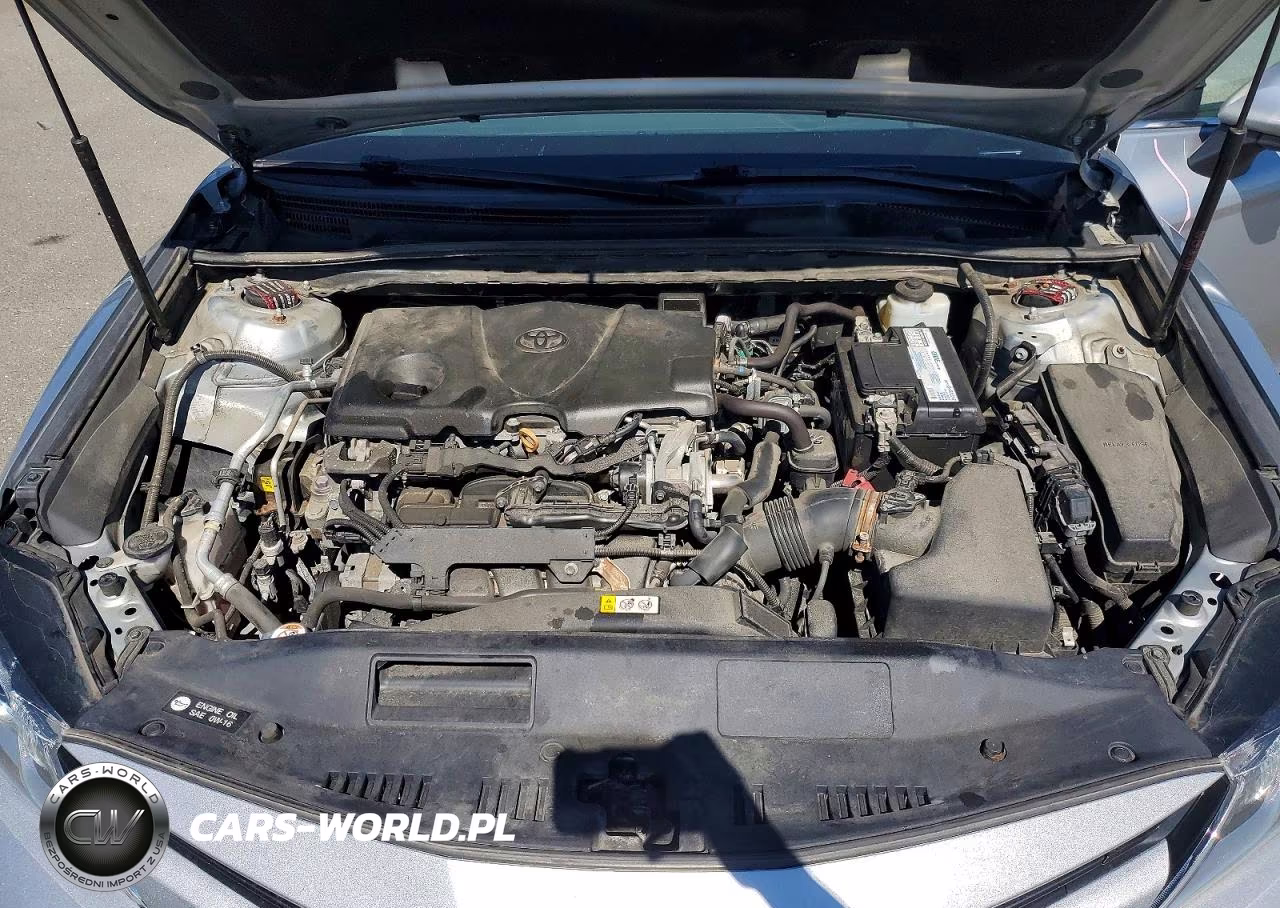 2020 Toyota Camry Le VIN:4T1C11BK2LU001903 - 11