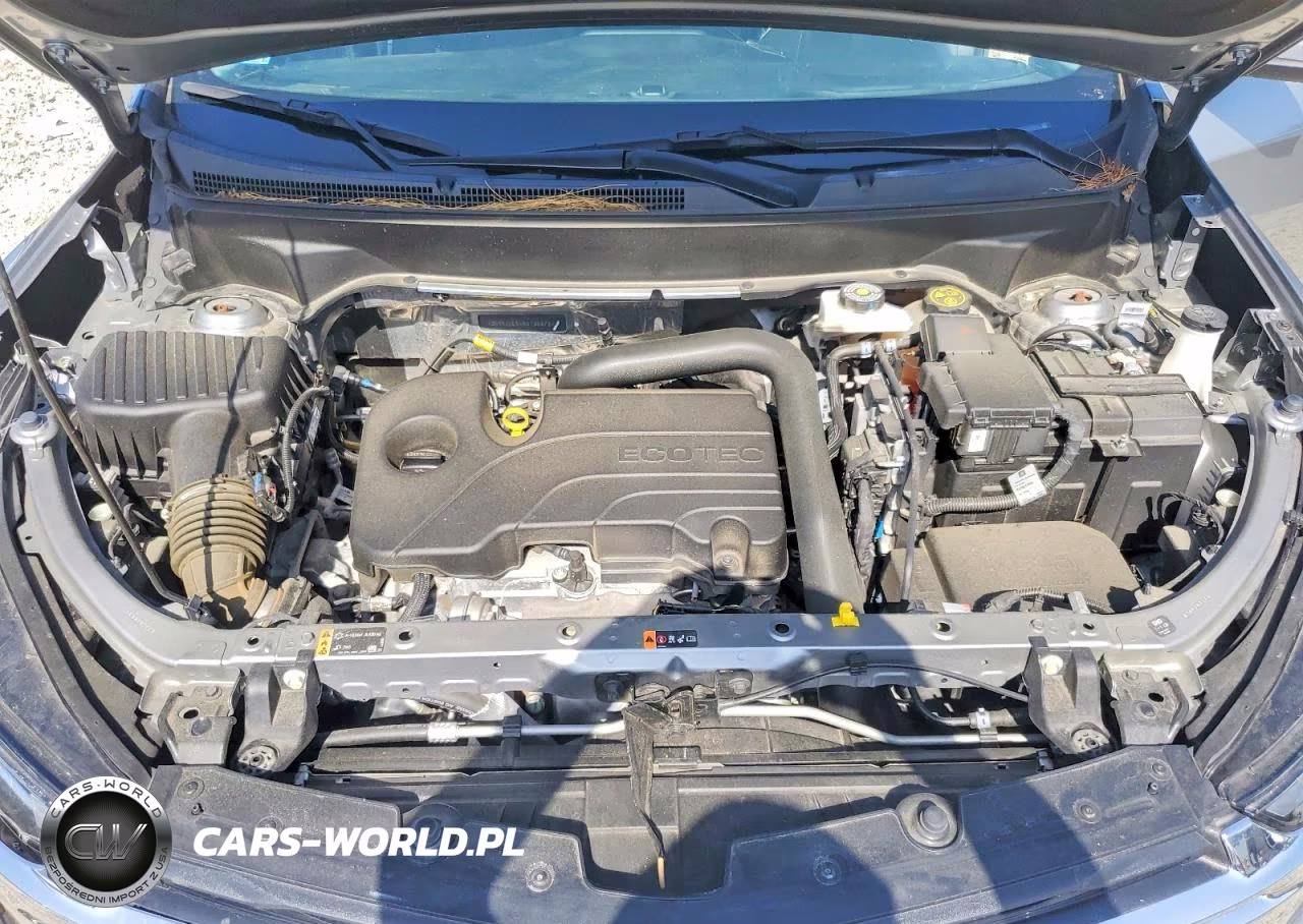 2024 Chevrolet Equinox Lt VIN:3GNAXUEGXRS136873 - 12