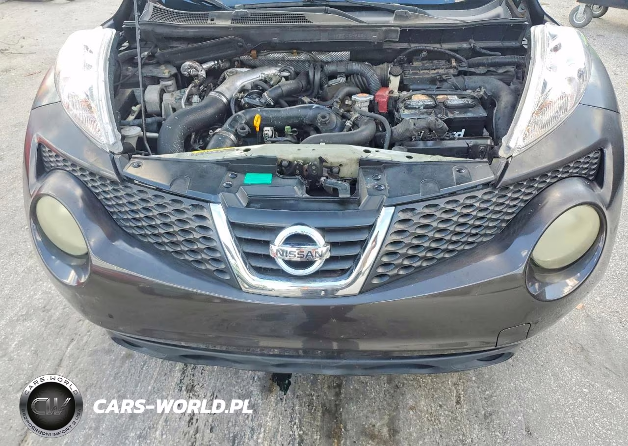2013 Nissan Juke S VIN:JN8AF5MR6DT201130 - 11