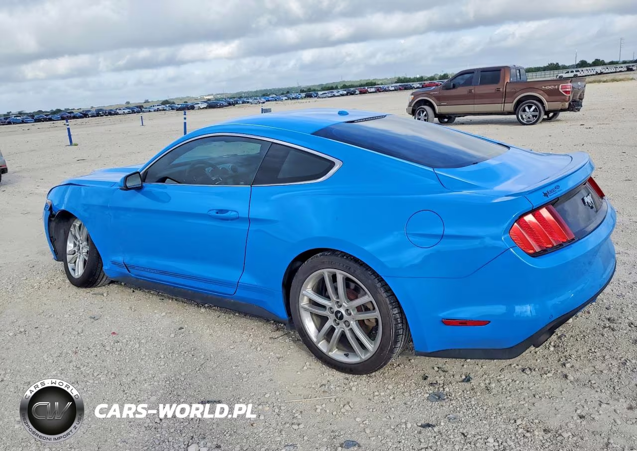 2017 Ford Mustang VIN:1FA6P8TH3H5247314 - 2