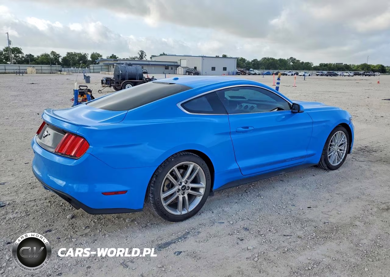 2017 Ford Mustang VIN:1FA6P8TH3H5247314 - 3