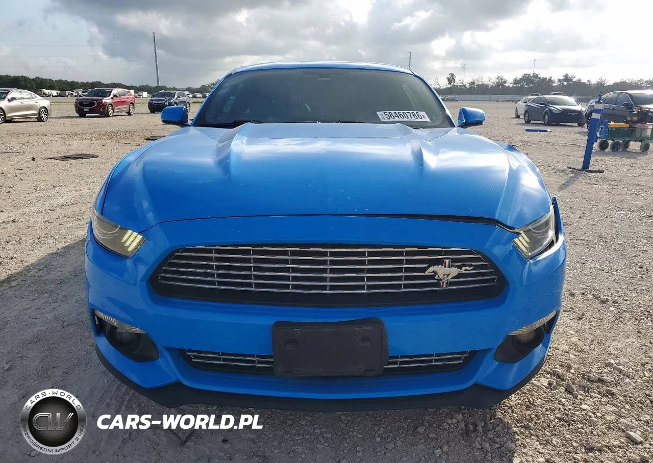 2017 Ford Mustang VIN:1FA6P8TH3H5247314 - 5