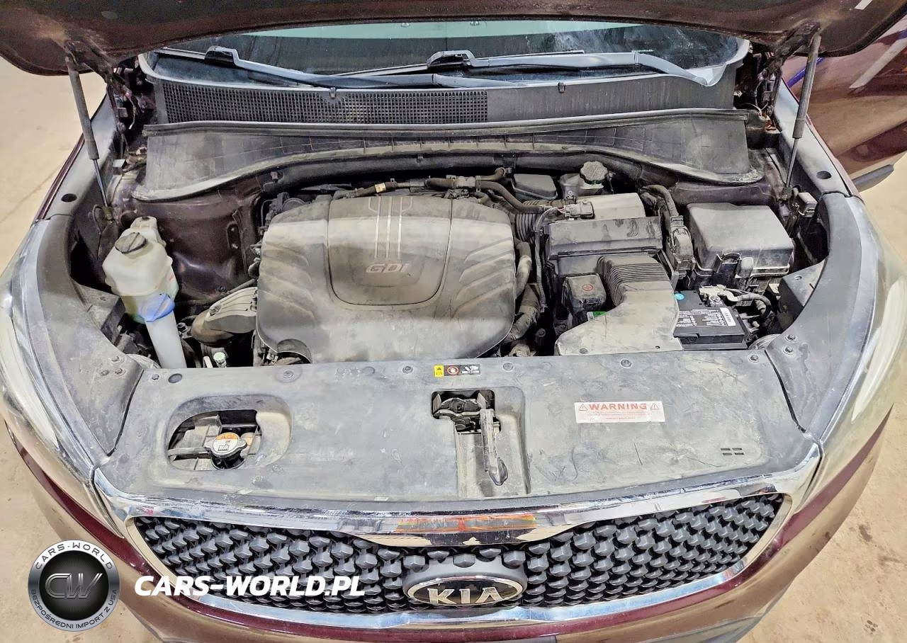 2016 Kia Sorento 3.3L Lx VIN:5XYPGDA52GG127462 - 12