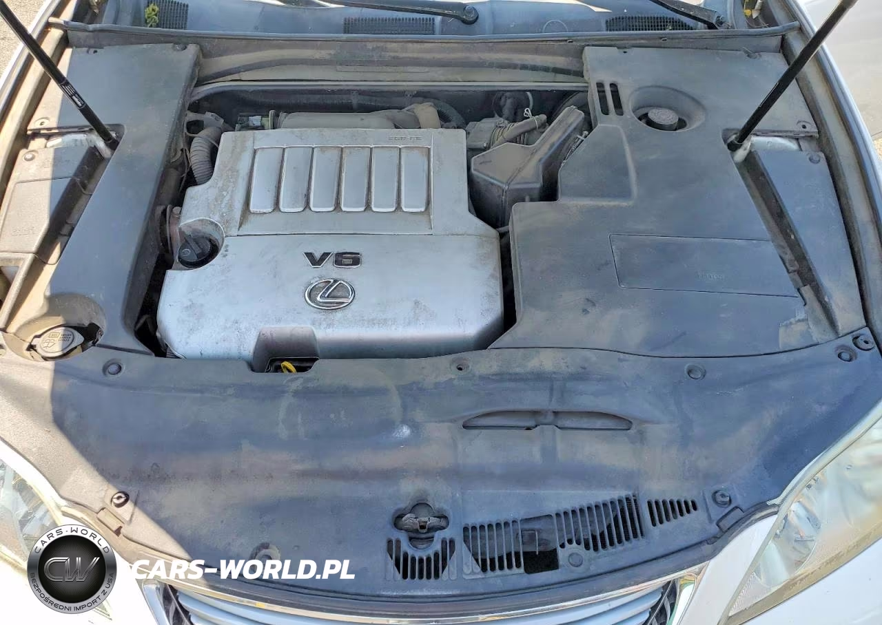 2009 Lexus Es 350 VIN:JTHBJ46G892317624 - 11