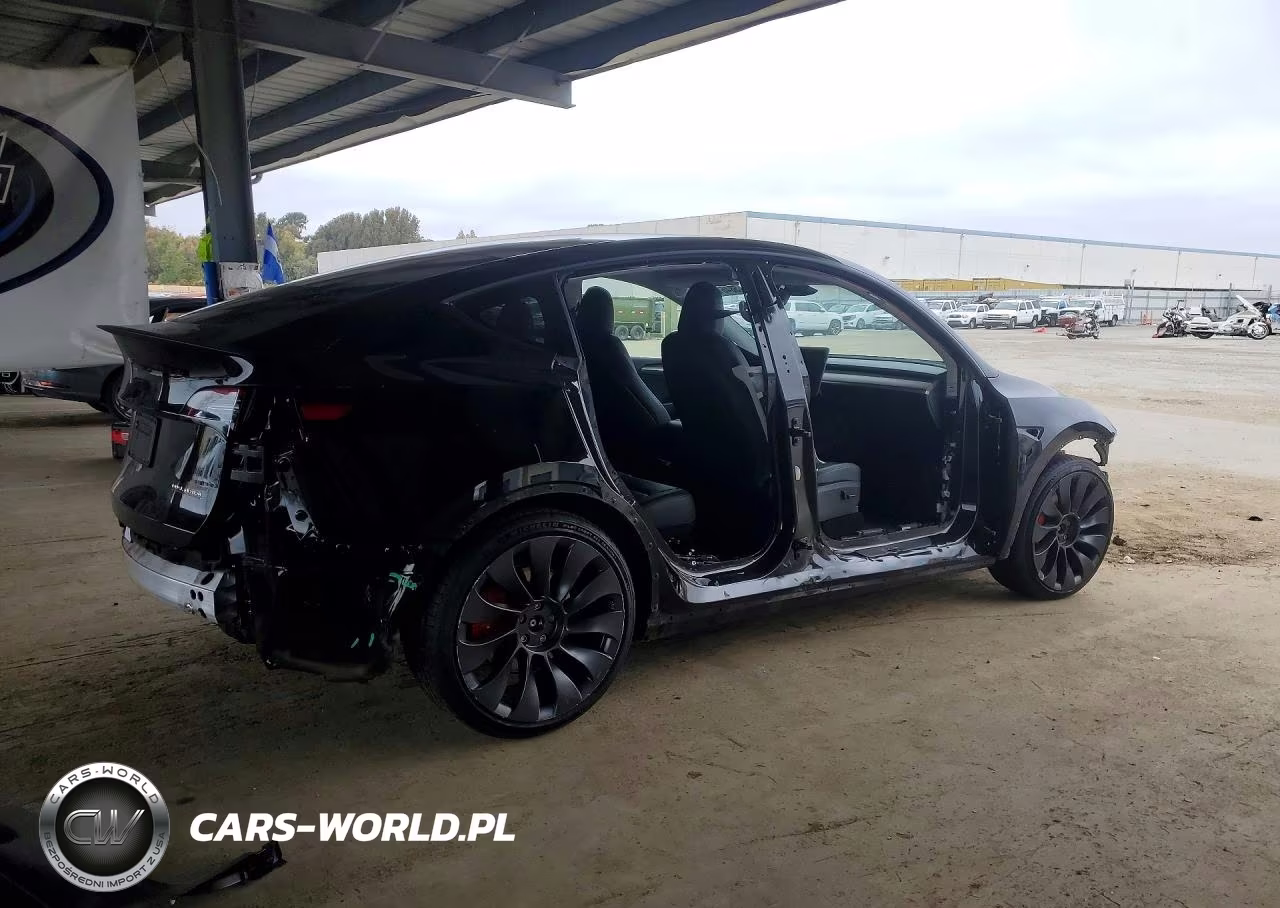 2024 Tesla Model Y VIN:7SAYGDEFXRF022544 - 3