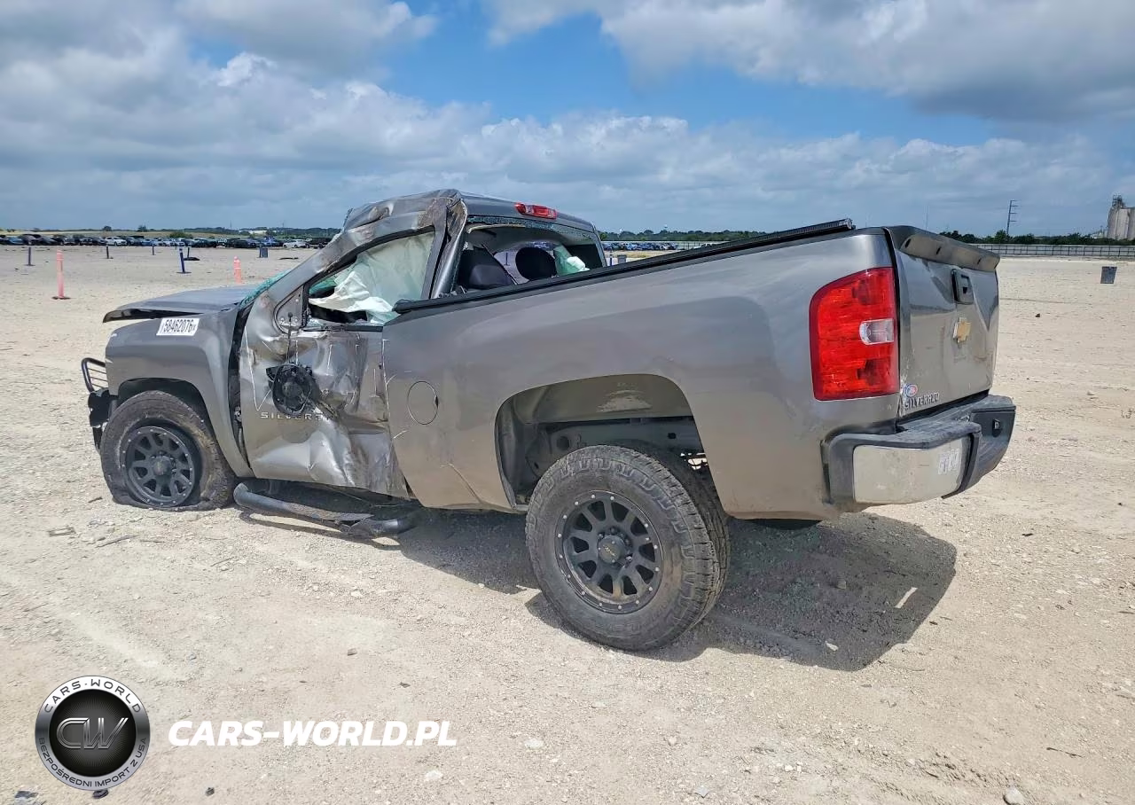 2013 Chevrolet Silverado C1500 VIN:1GCNCPEX2DZ316609 - 2
