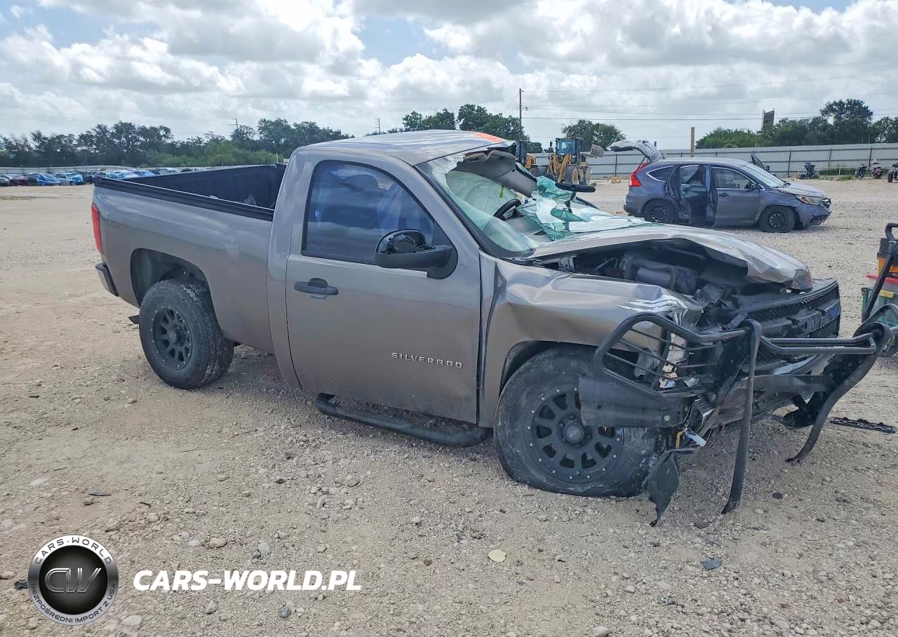 2013 Chevrolet Silverado C1500 VIN:1GCNCPEX2DZ316609 - 4