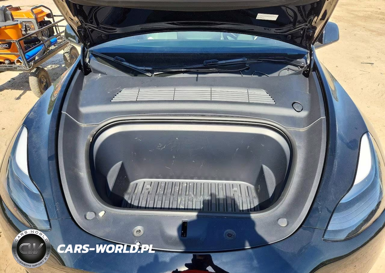 2024 Tesla Model Y VIN:7SAYGDEF8RF039777 - 11