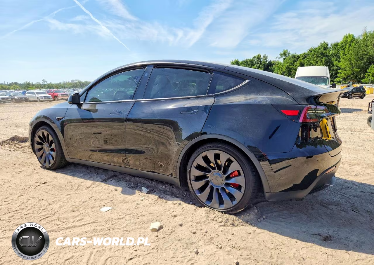 2024 Tesla Model Y VIN:7SAYGDEF8RF039777 - 2