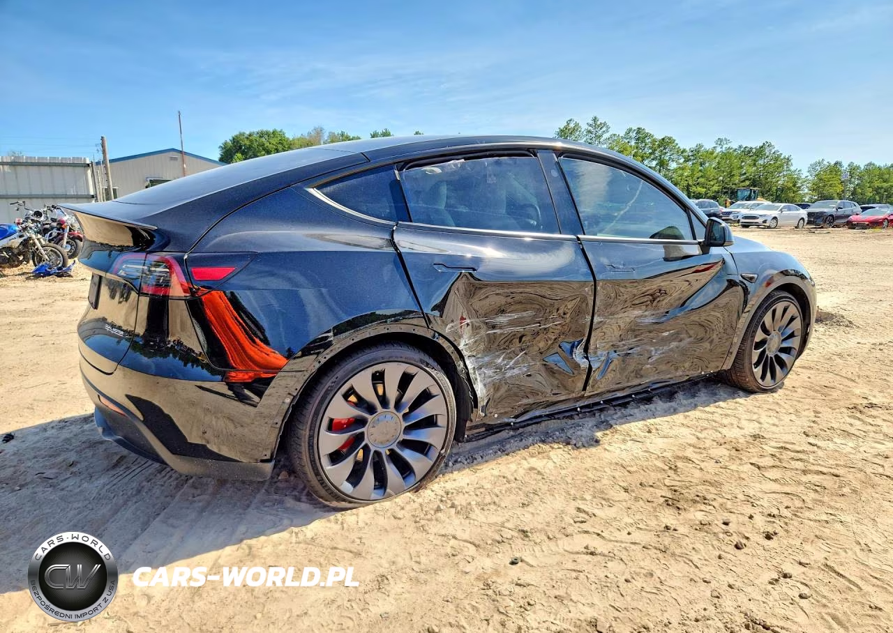 2024 Tesla Model Y VIN:7SAYGDEF8RF039777 - 3