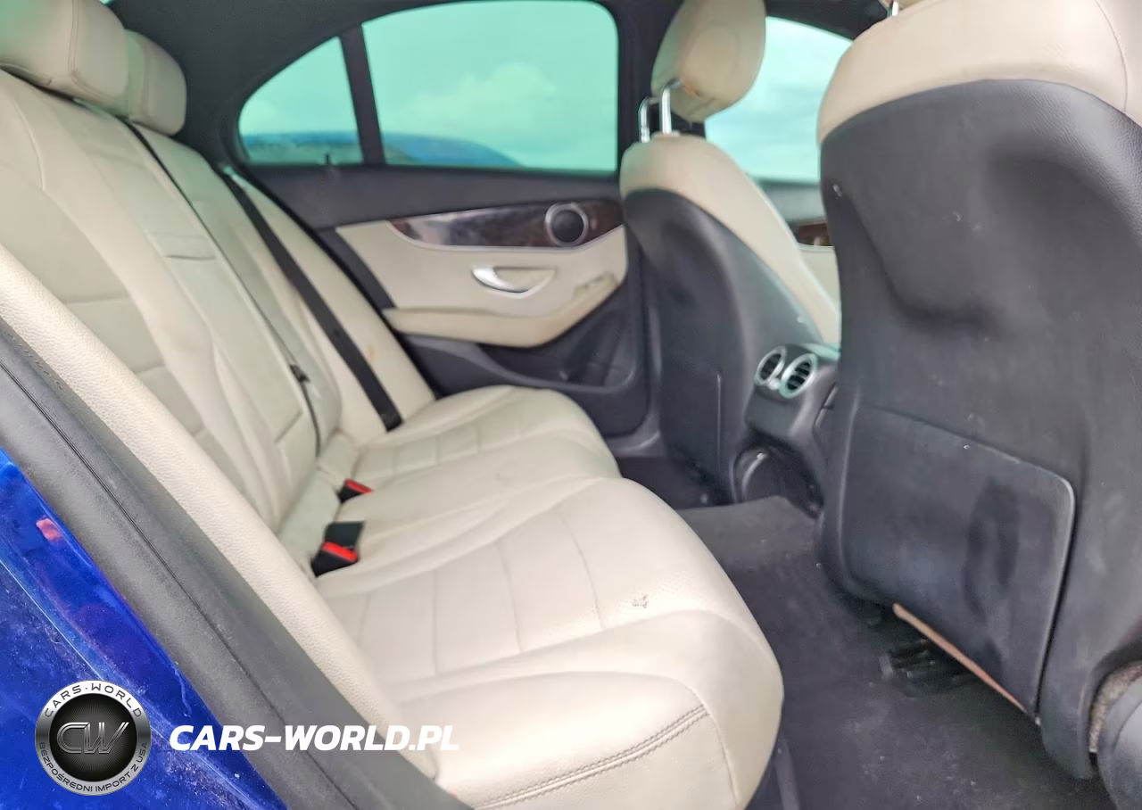 2018 Mercedes-Benz C 300 VIN:55SWF4JBXJU256518 - 10