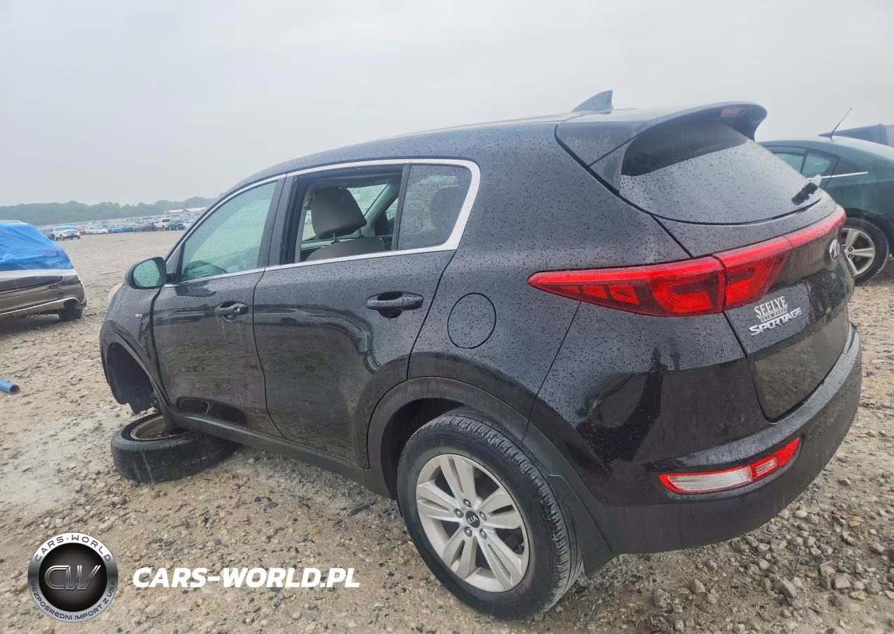 2019 Kia Sportage Lx VIN:KNDPMCAC8K7613877 - 2