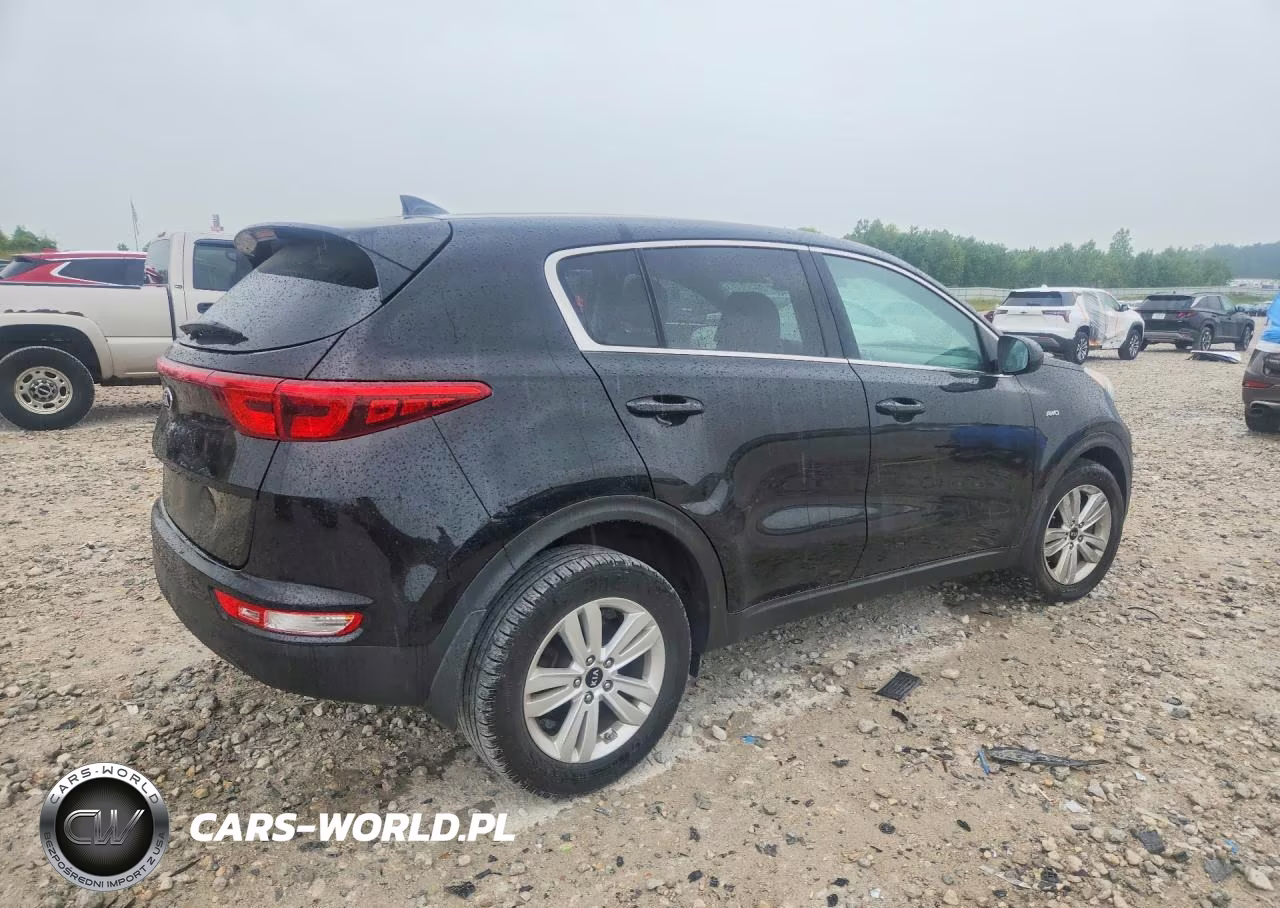 2019 Kia Sportage Lx VIN:KNDPMCAC8K7613877 - 3