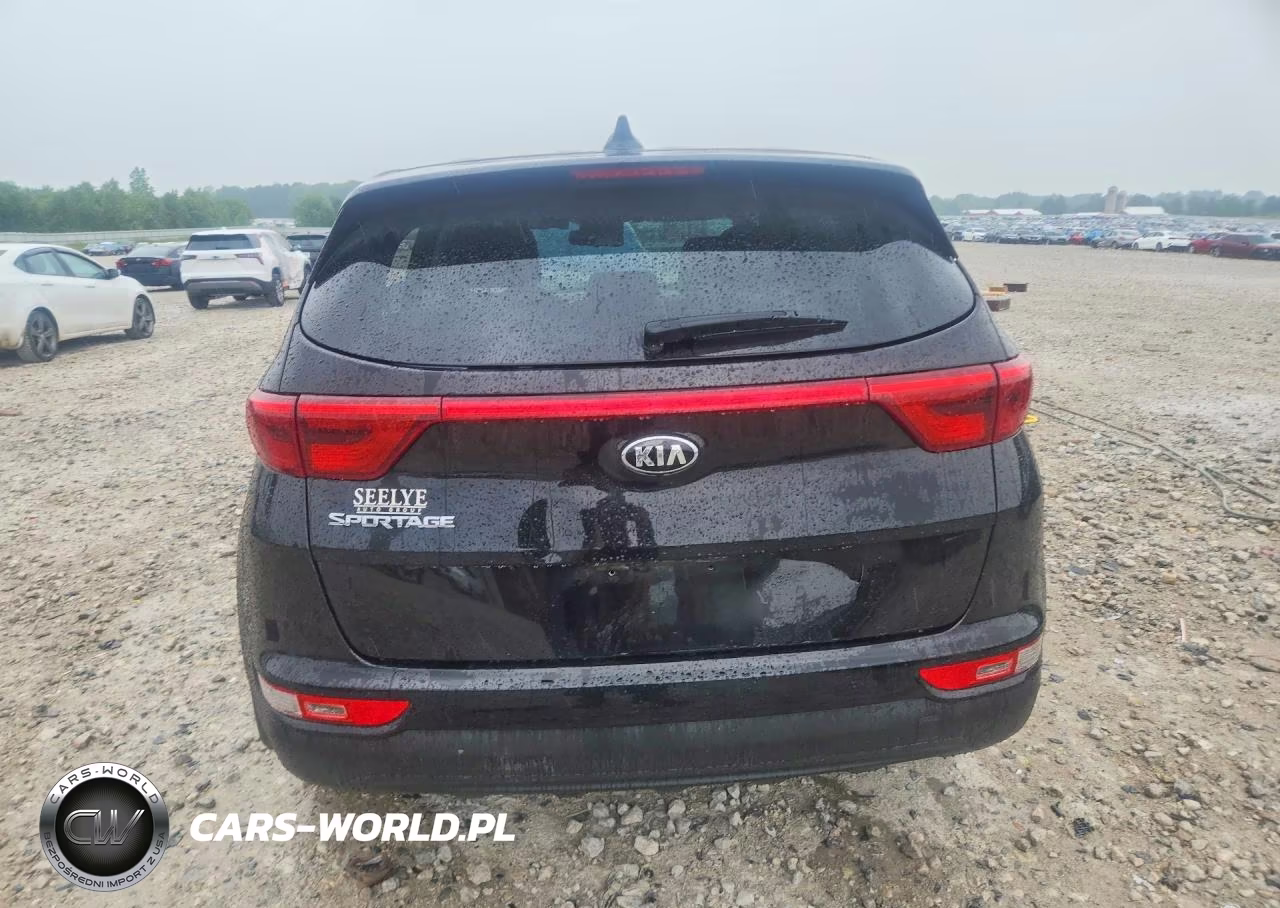2019 Kia Sportage Lx VIN:KNDPMCAC8K7613877 - 6