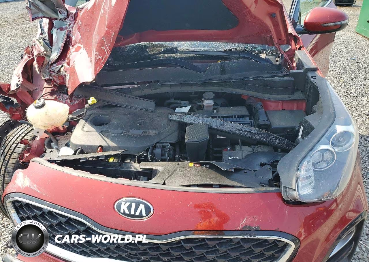 2022 Kia Sportage Lx VIN:KNDPMCAC1N7966045 - 12