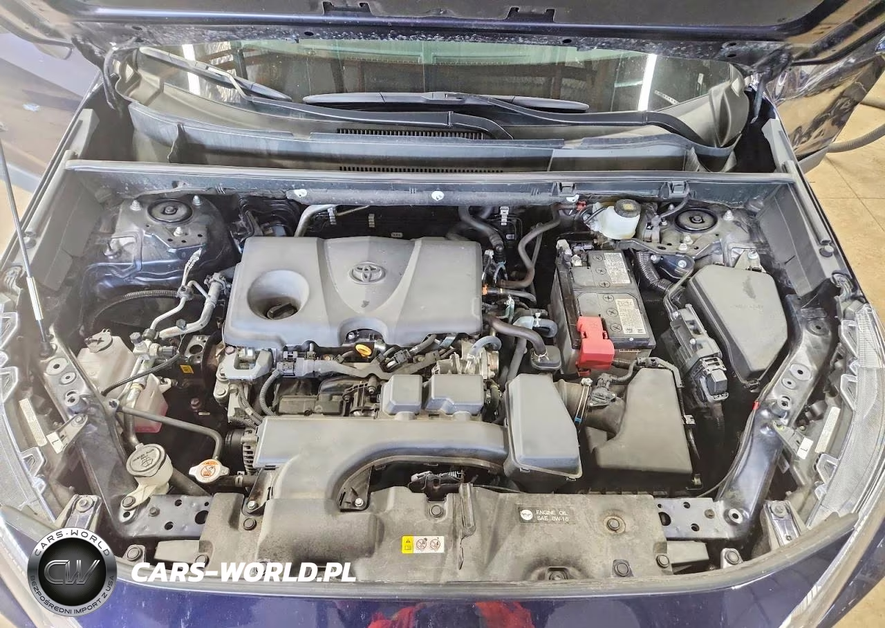 2025 Toyota Rav4 Xle VIN:2T3P1RFVXSW566331 - 12