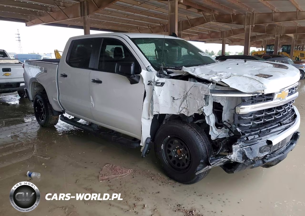 2024 Chevrolet Silverado K1500 Trail Boss Custom VIN:3GCUDCED0RG362907 - 4