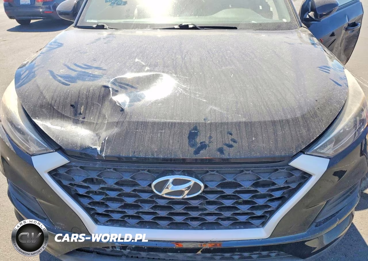2019 Hyundai Tucson Se VIN:KM8J23A45KU938164 - 12