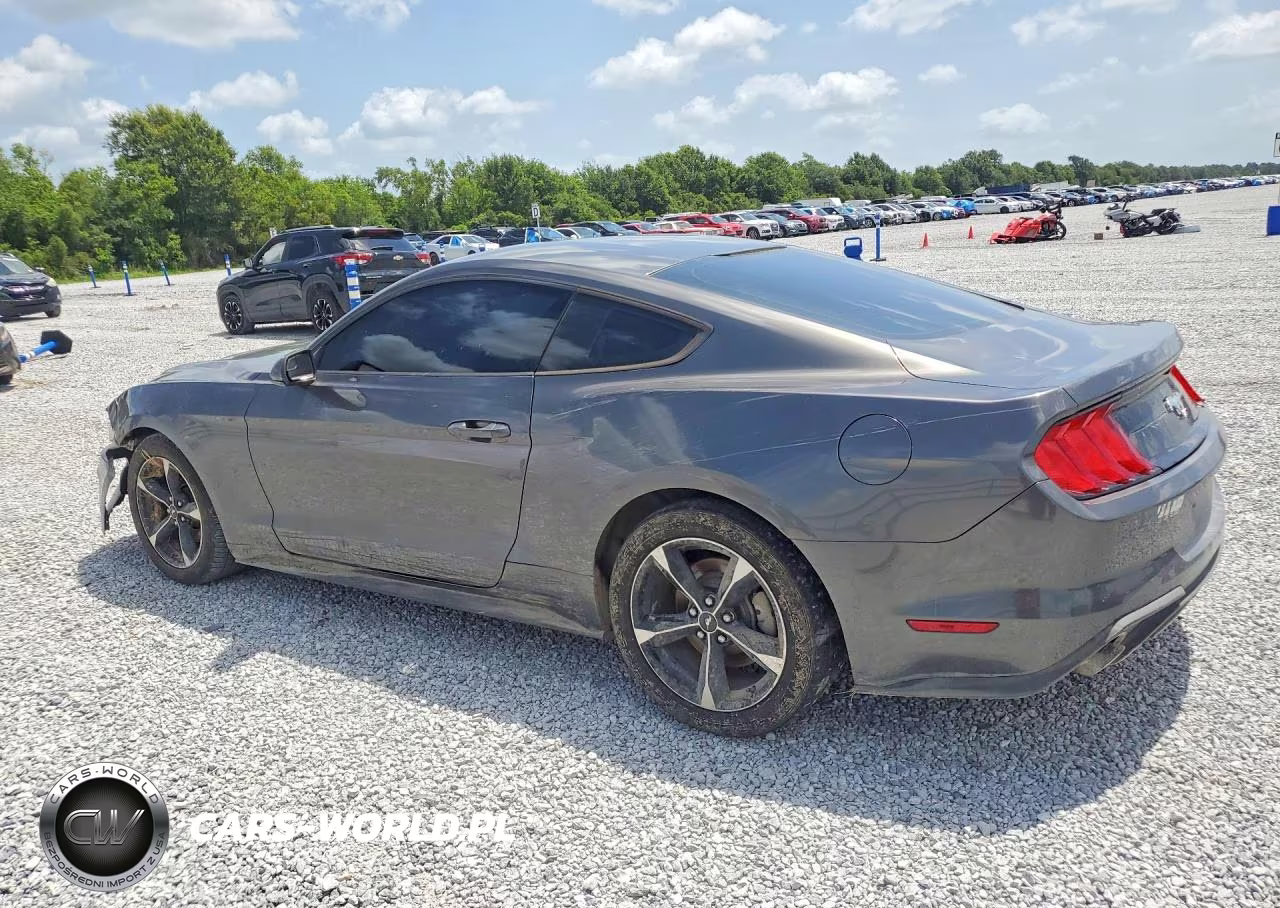 2018 Ford Mustang VIN:1FA6P8TH8J5104087 - 2