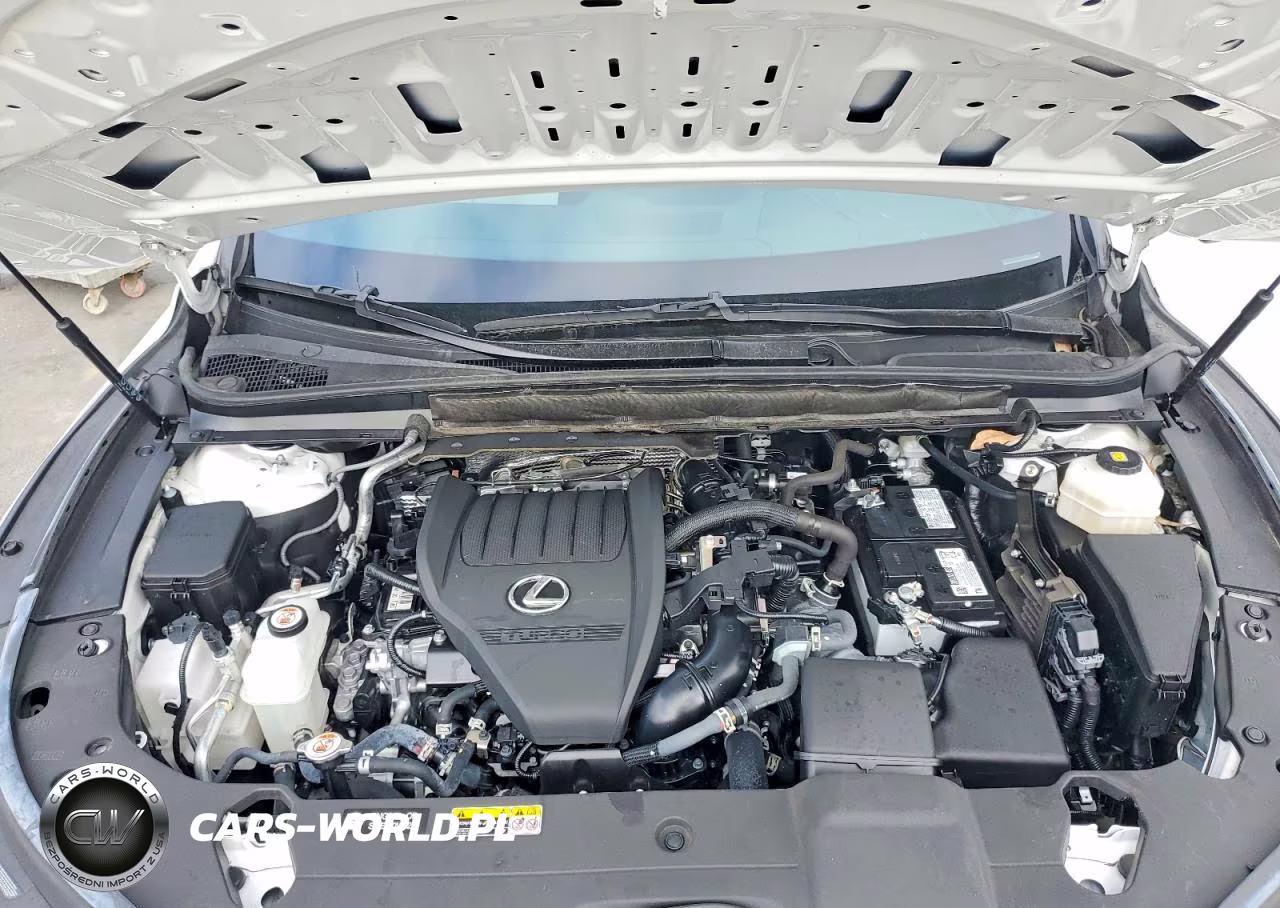 2024 Lexus Rx 350 Premium VIN:2T2BAMBA2RC034099 - 12