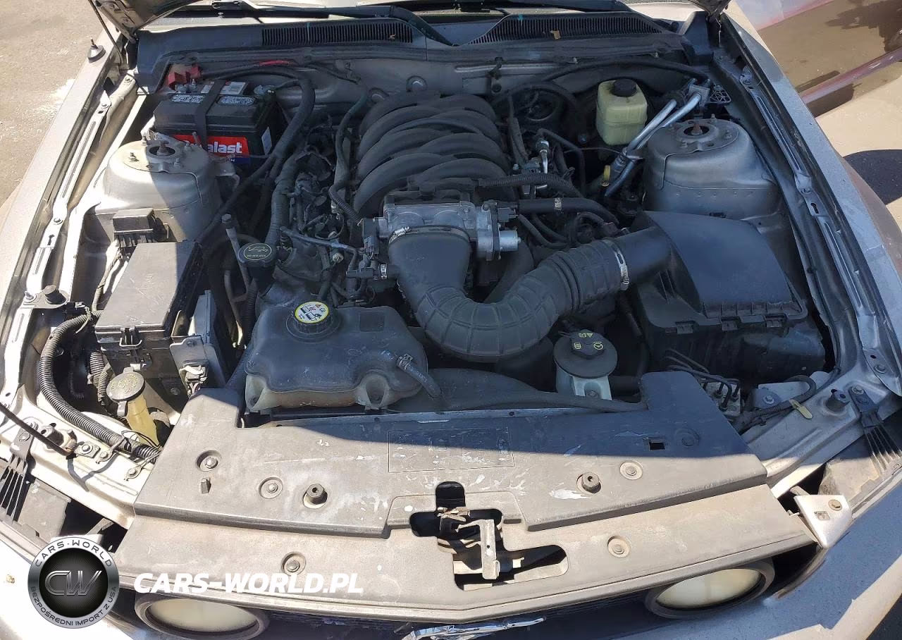 2008 Ford Mustang VIN:1ZVHT85H685125247 - 11
