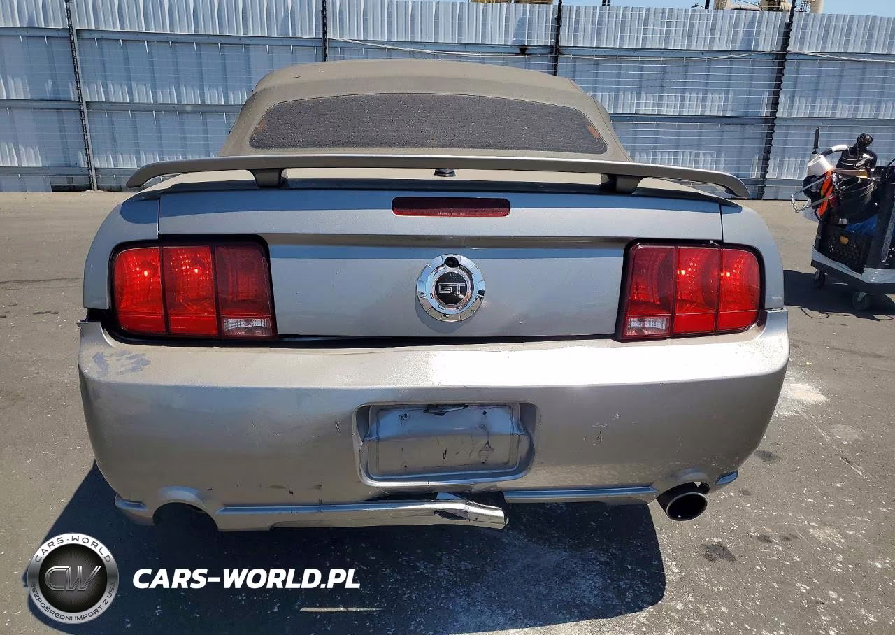 2008 Ford Mustang VIN:1ZVHT85H685125247 - 6