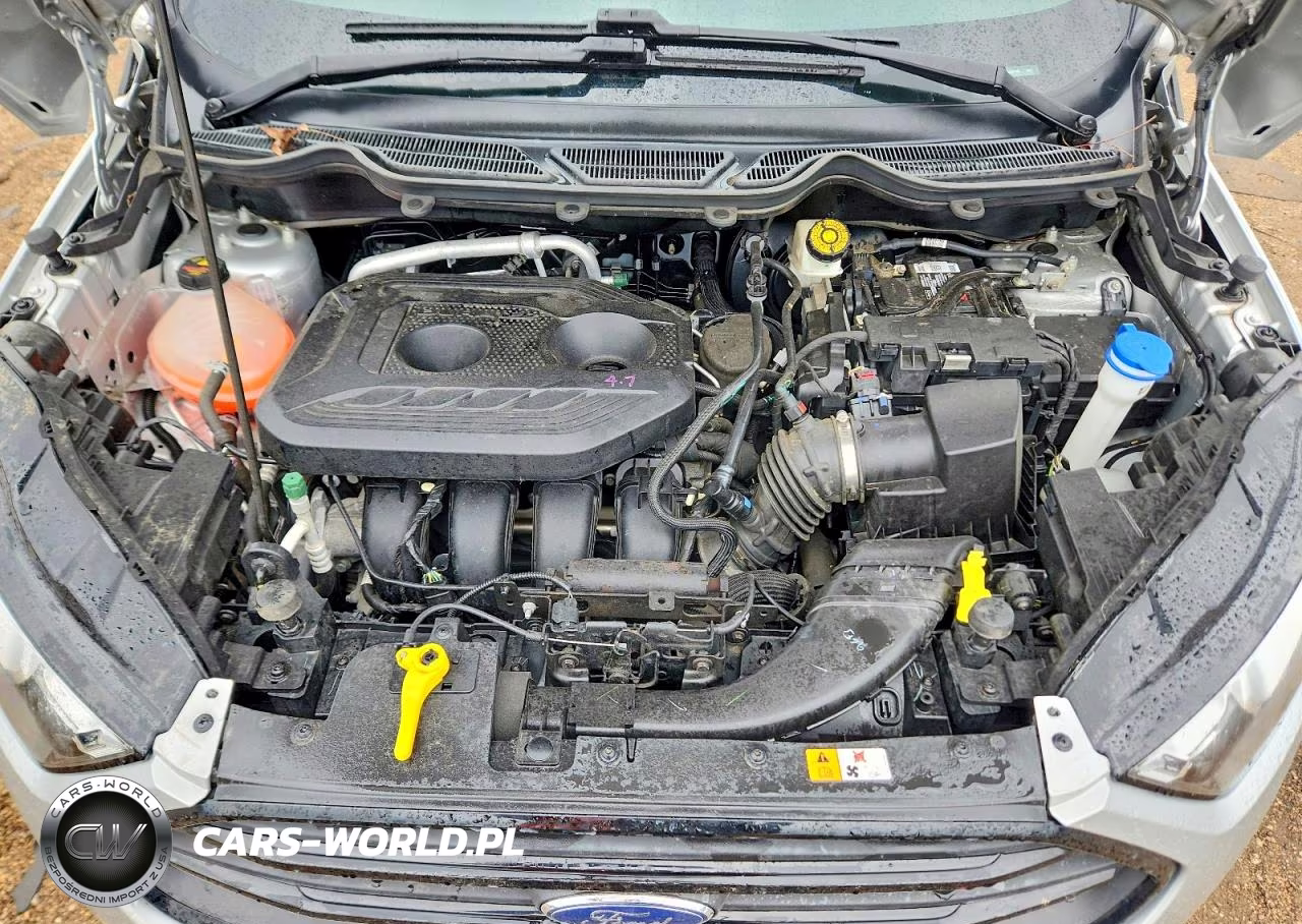 2021 Ford Ecosport S VIN:MAJ6S3FL1MC429746 - 11