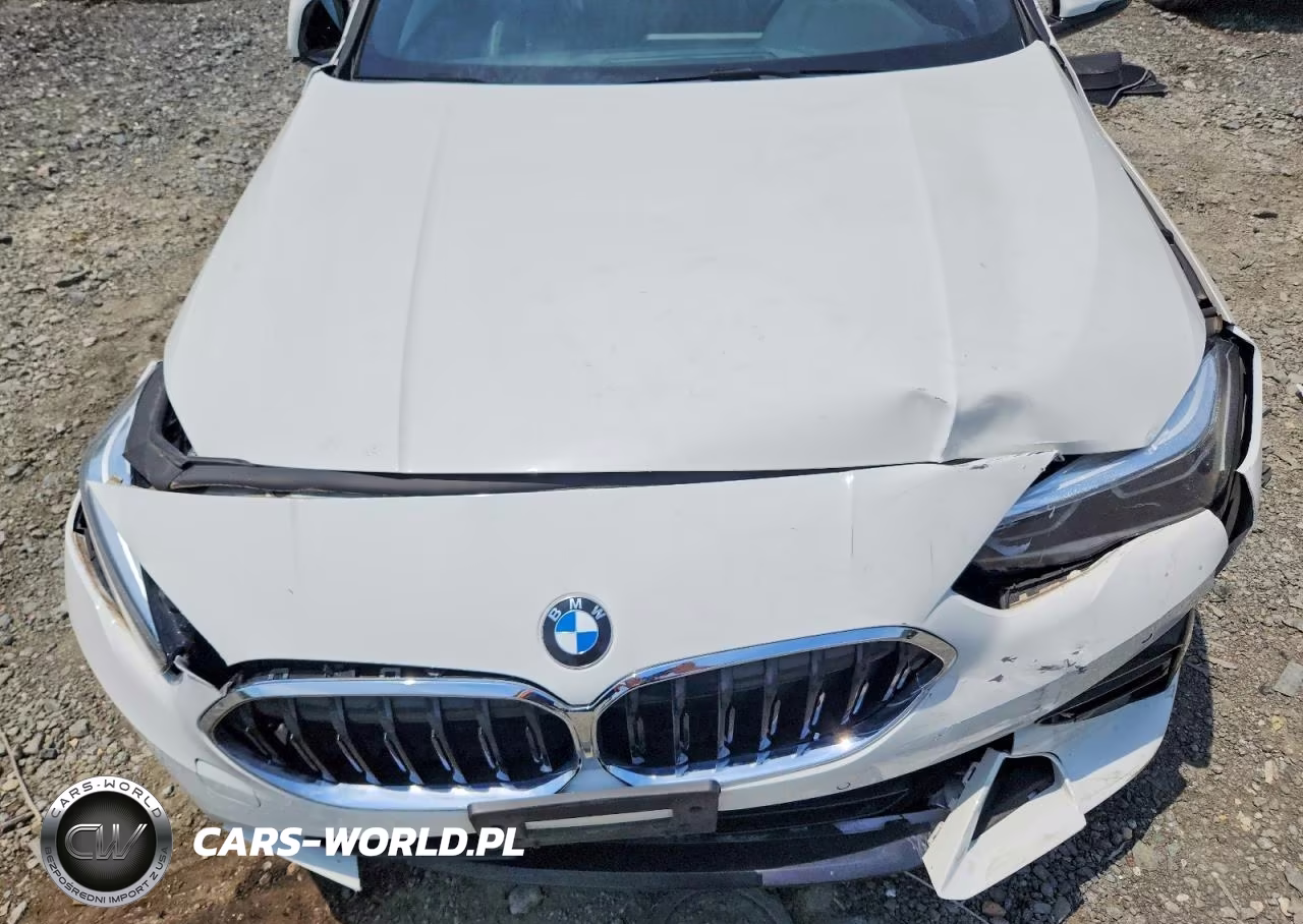 2021 BMW 228Xi VIN:WBA73AK09M7H04414 - 11