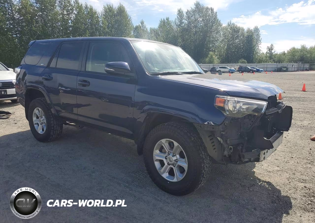 2019 Toyota 4Runner Sr5 Premium VIN:JTEBU5JR2K5664261 - 4