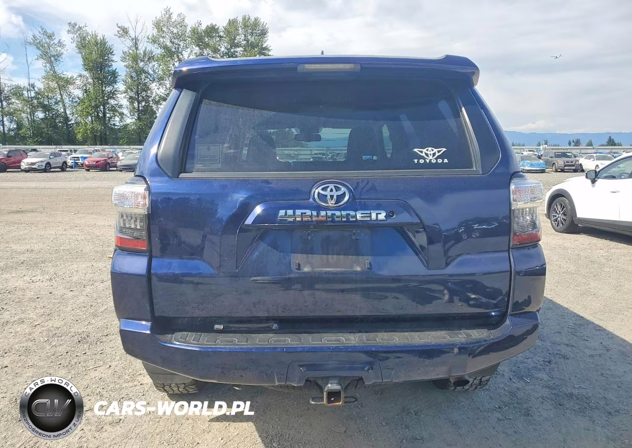 2019 Toyota 4Runner Sr5 Premium VIN:JTEBU5JR2K5664261 - 6