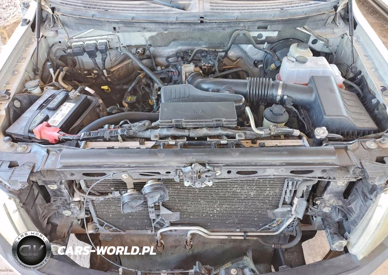 2010 Ford F150 Supercrew VIN:1FTEW1CW0AKE59903 - 11