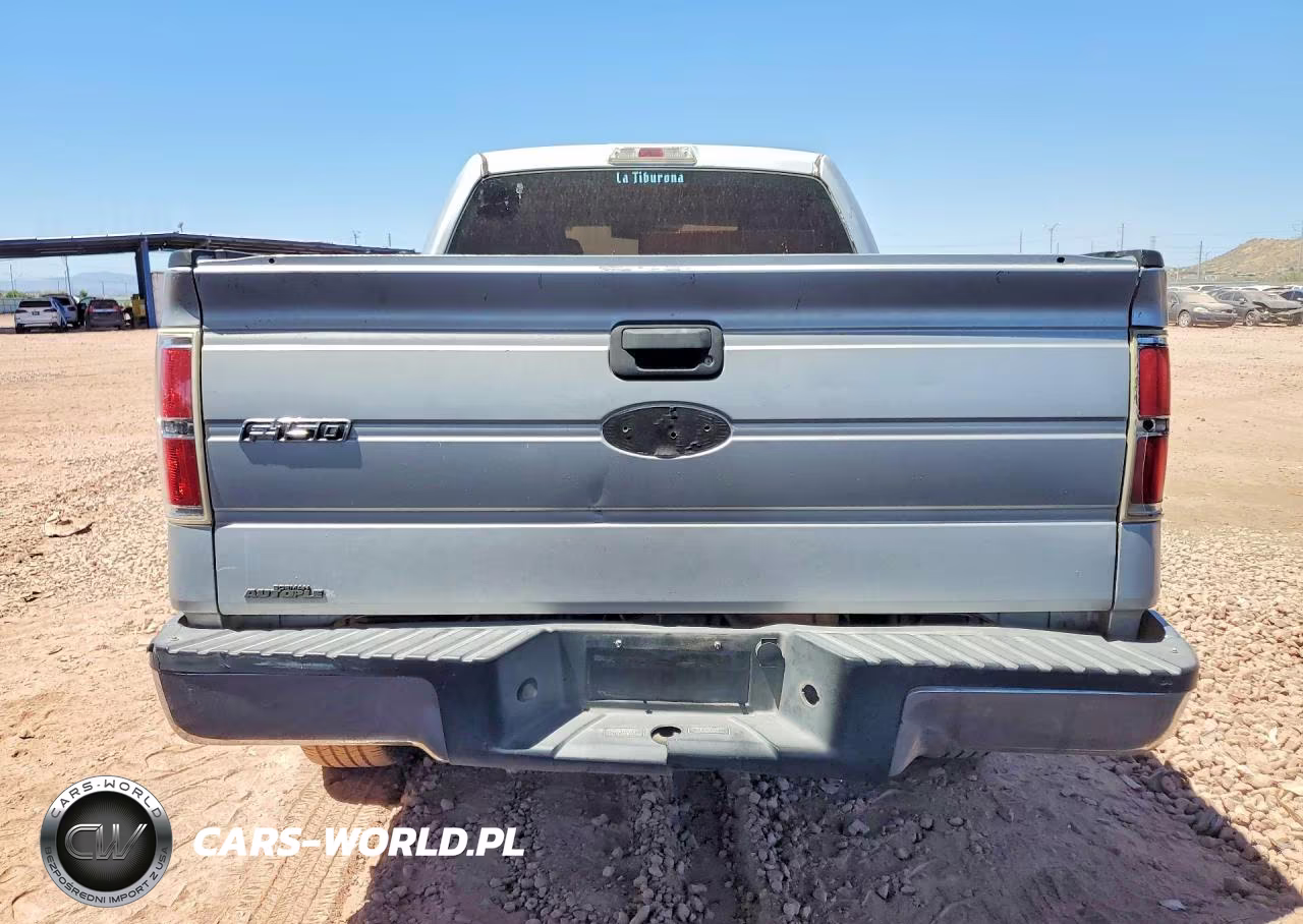 2010 Ford F150 Supercrew VIN:1FTEW1CW0AKE59903 - 6