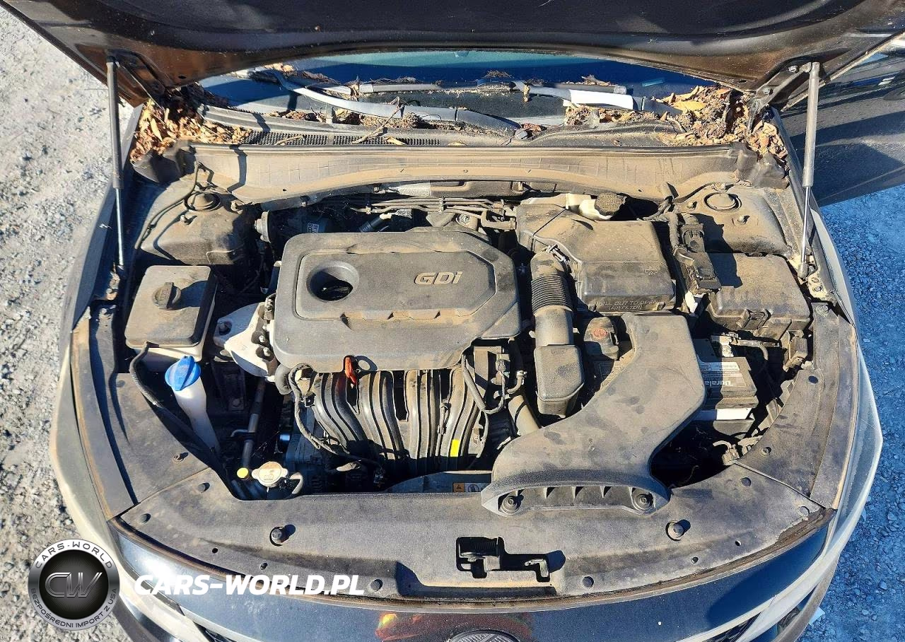 2016 Kia Optima Lx VIN:5XXGT4L36GG101958 - 11