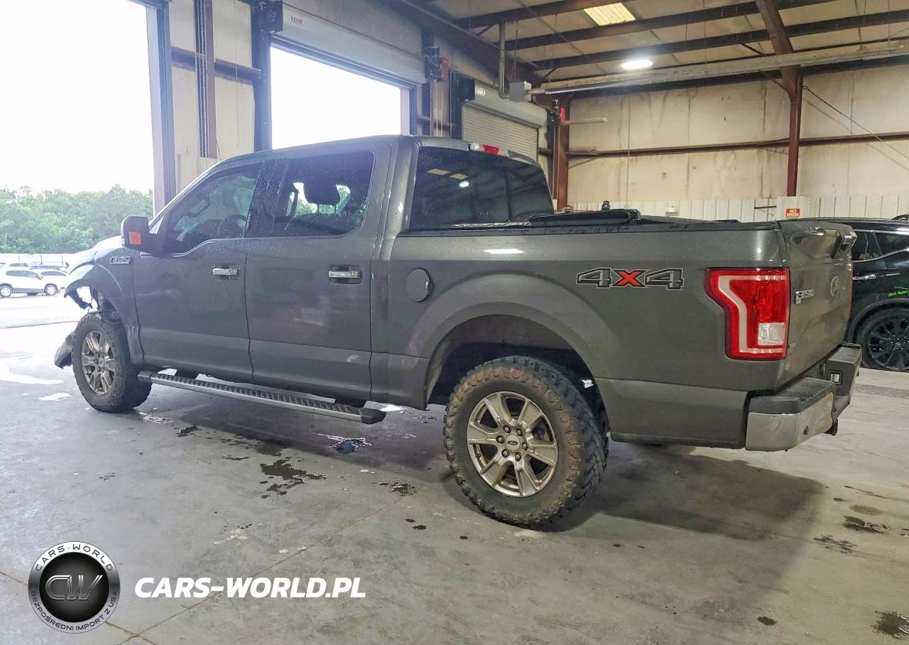 2016 Ford F150 Supercrew VIN:1FTEW1EPXGKE29029 - 2