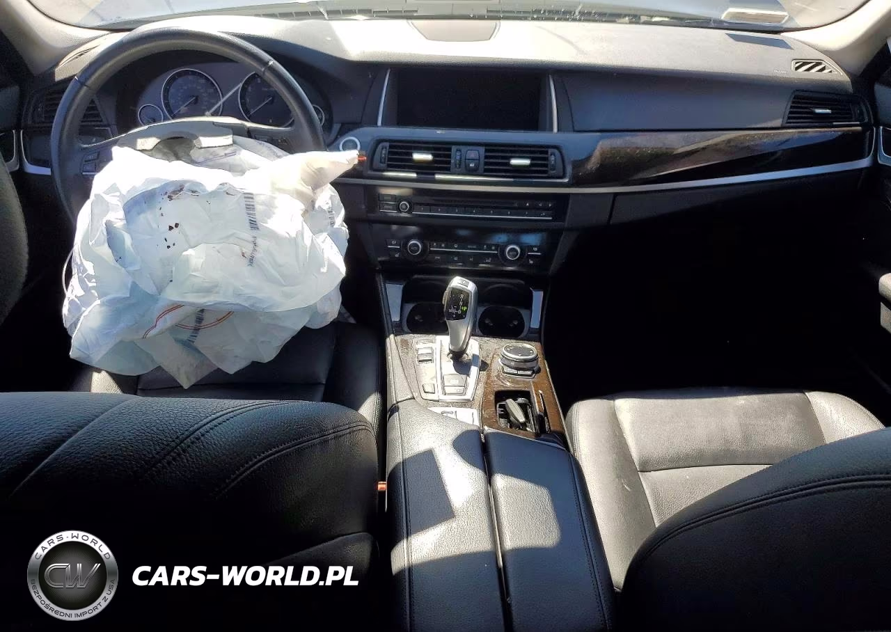 2014 BMW 528 I VIN:WBA5A5C53ED509245 - 10