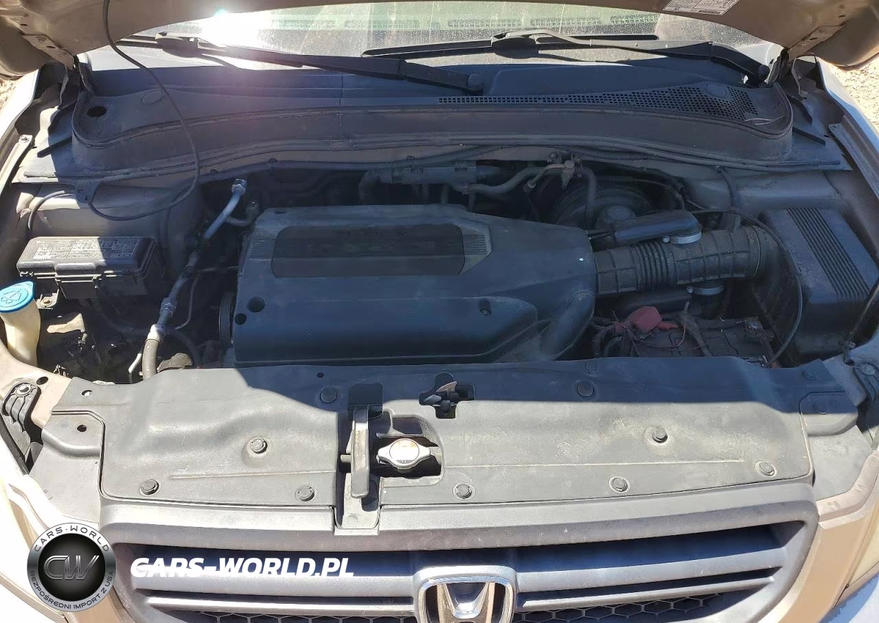 2004 Honda Pilot Exl VIN:2HKYF185X4H502868 - 12