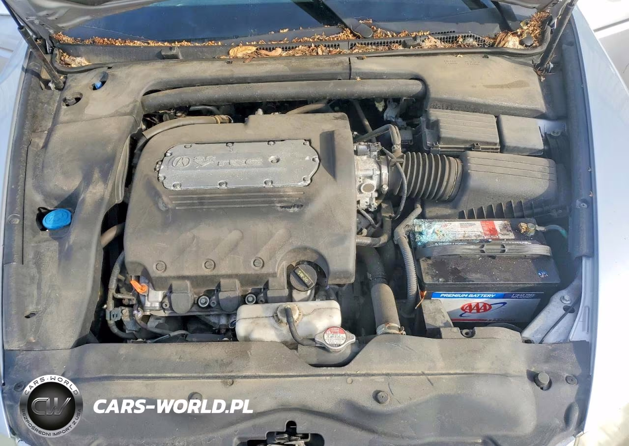 2004 Acura Tl VIN:19UUA66224A015255 - 11