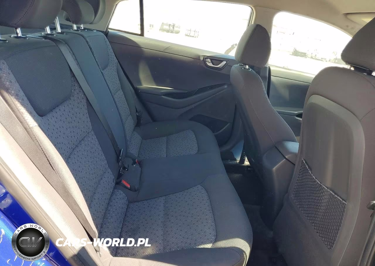 2019 Hyundai Ioniq Blue VIN:KMHC65LC3KU175624 - 10