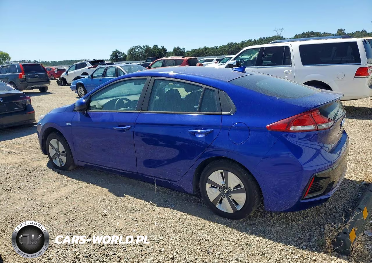 2019 Hyundai Ioniq Blue VIN:KMHC65LC3KU175624 - 2