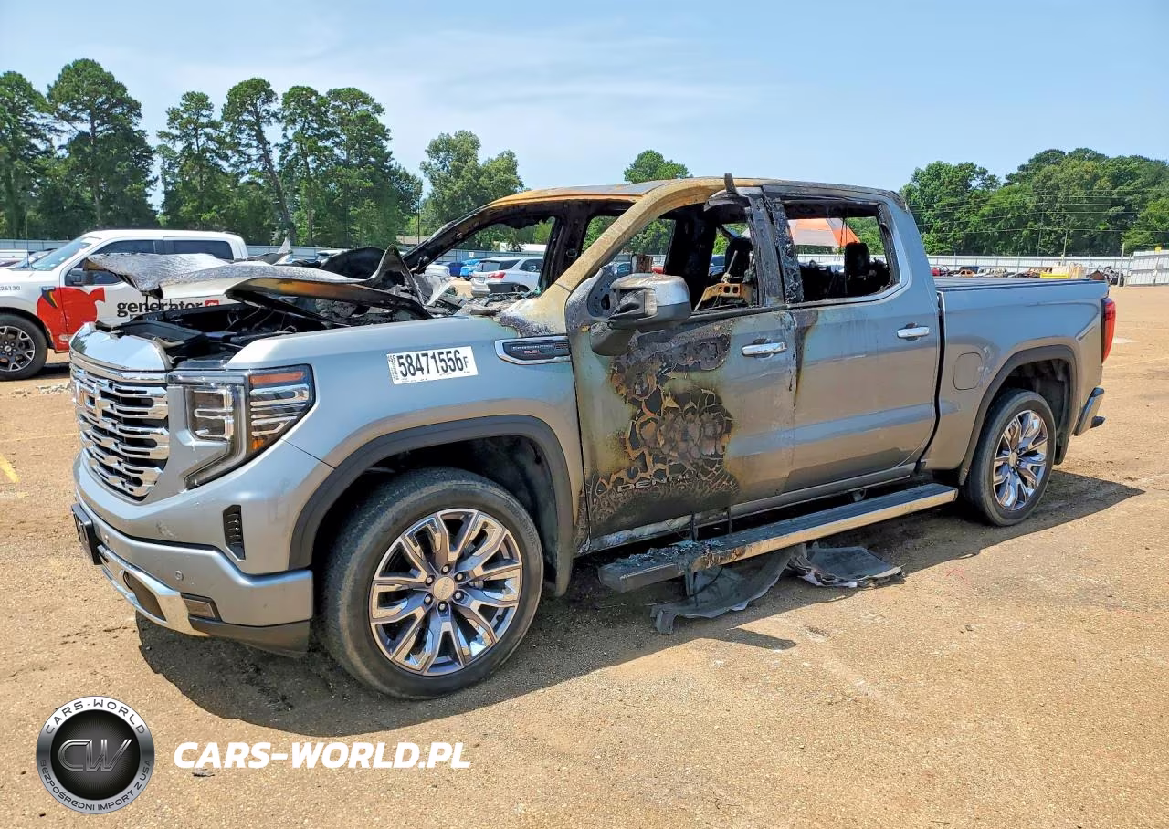 2023 GMC Sierra K1500 Denali VIN:1GTUUGEL7PZ310346 - 1