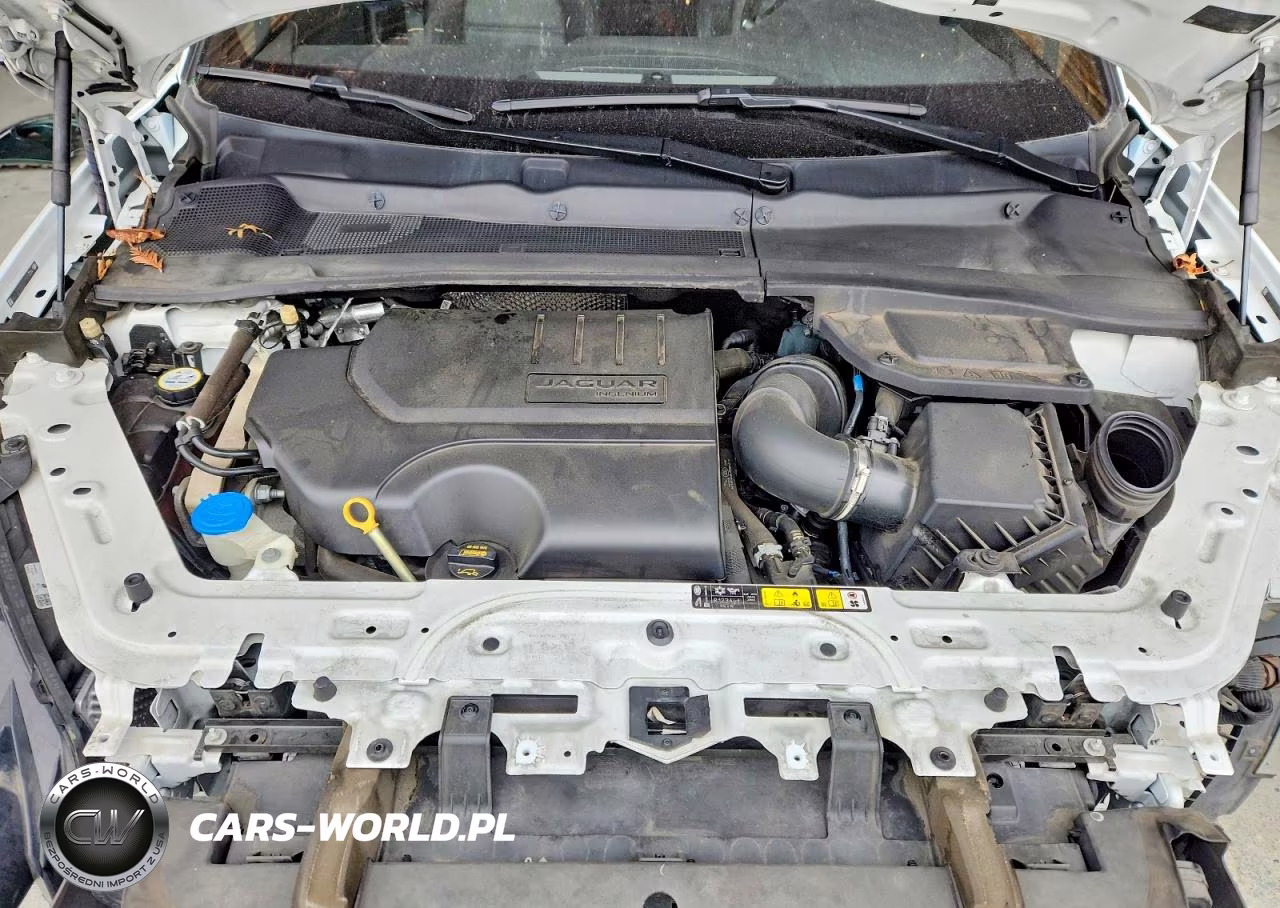 2019 Jaguar E-Pace S VIN:SADFJ2FX3K1Z37160 - 12