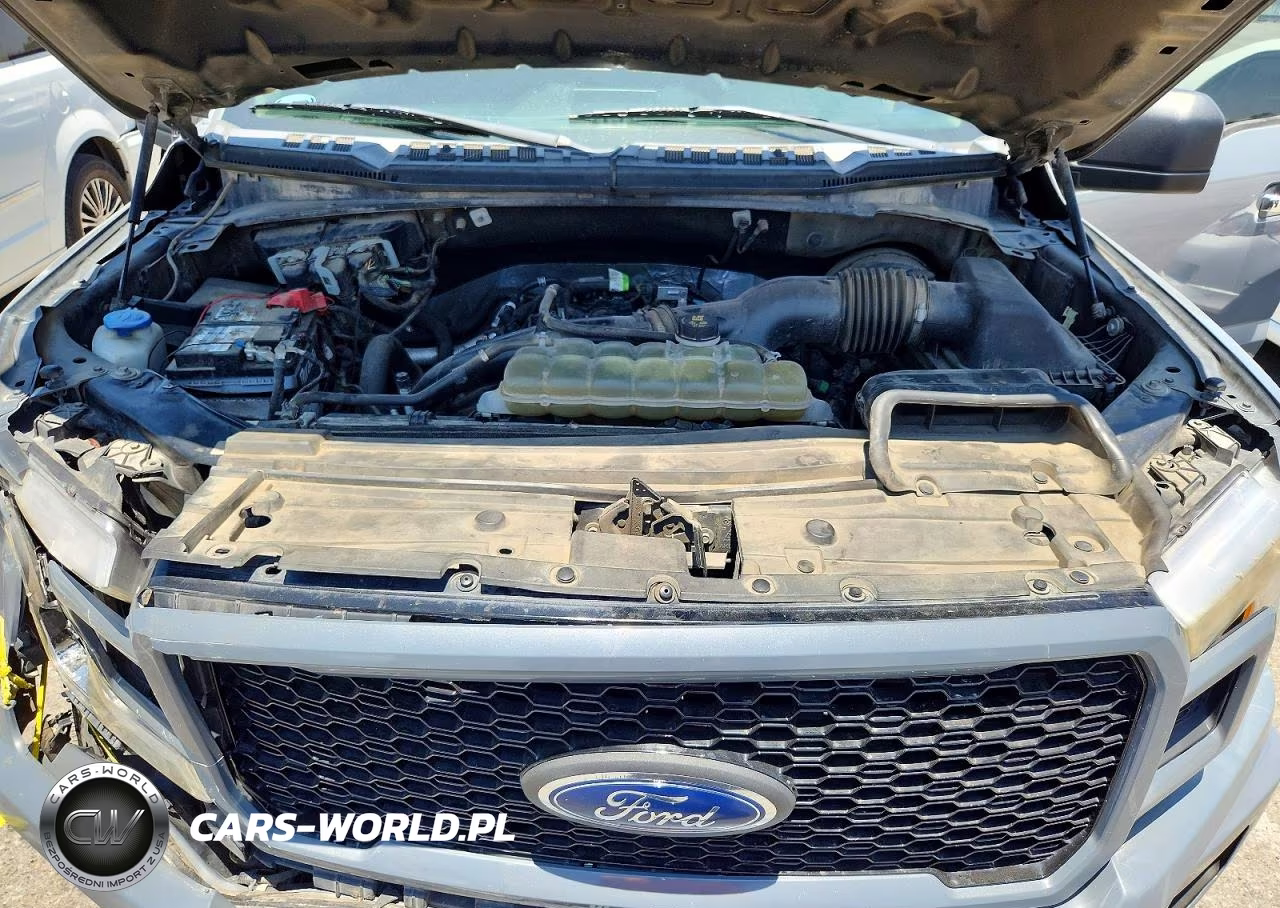 2019 Ford F150 Supercrew VIN:1FTEW1CP4KKC77955 - 11